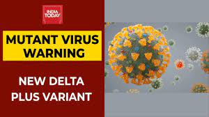 Delta plus (delta +) variant also called ay.1 which acquired k417n mutation. New Delta Plus Variant Of Sars Cov 2 Identified Here S What We Know So Far Youtube