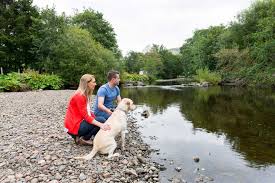 Although you could for example park your car at the campsie glen waterfall car park, walk 5 minutes to the water fall. Campsie Glen Holiday Park Stirling Uk G63 0lp Your Parks