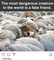 Nothing Like A Wolf In Sheep S Clothing Im14andthisisdeep
