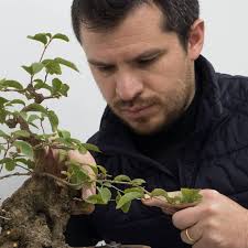 Gabriel Medina bonsai