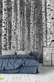 Black And White Birch Tree Wallpaper Birch Trees Black And White Xxl Wallpaper Birch Tree Wallpaper Tree Wall Murals Black And White Wallpaper