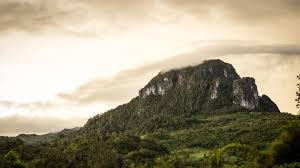 Aplikasi ini berisi profil sman 1 batu. Profil Sekolah Sma N 1 Fatuleu Tengah Kupang Ntt Sma Negeri 1 Fatuleu Tengah