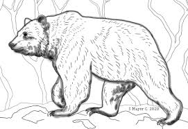 Download this adorable dog printable to delight your child. Awhitehorse Com Stacey S Coloring Books Grizzly Bear