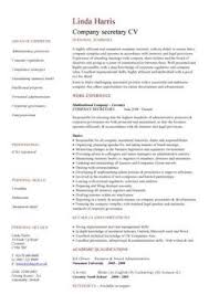 Latex template for your outstanding job application. Sample Latex Resume Templates Www Annanimmo Com