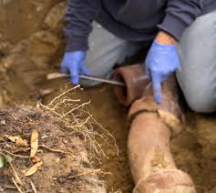 A belly is a dip in the sewer line caused by the settling of two pipe ends or a joint. Sewer Line Replacement Vs Repair Cost Robinson S Plumbing Services