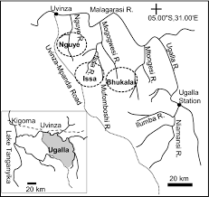 Image result for Musanga leo-errerae