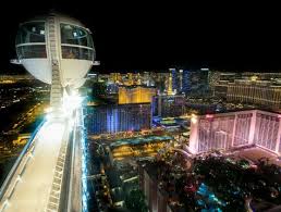 19 Stunning Seaquest Interactive Aquarium Las Vegas Las Vegas Nv Fresh Ideas In 2019 Vegas Las Vegas Aquarium