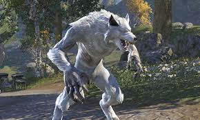 Check spelling or type a new query. How To Become A White Werewolf In Eso Eip Gaming