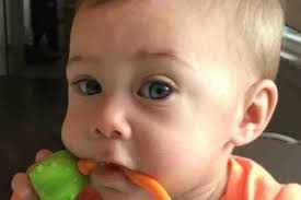 Fundraiser for Haley Alexandra Durden by Avery Carlton : For Finn and Family