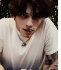 Celebrating 7K Followers with Matt Sturniolo Content