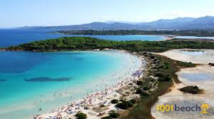 Cala brandinchi è situata nel comune di san teodoro in località capo coda cavallo. Bewertung Der Besten Weissen Sandstrande In Sardinien