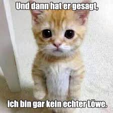 Find, join and share the best indian whatsapp group links for cricket, news, pubg, friends, memes. Konig Der Lowen Kostenlose Lustige Bilder Fur Whatsapp Profilbilder Spruche