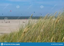 Voor het eerst sinds 1963, toen het. Gras Auf Sanddunen Auf Nordsee Nahe Renesse Zeeland Die Niederlande Stockfoto Bild Von Frech Landschaft 154722124