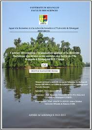 Image result for Leptonychia tokana