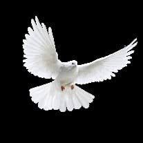 Ms. Deloris Agee Obituary (2024)