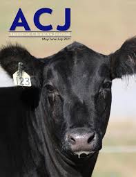 We did not find results for: May June July 2021 By American Chianina Journal Issuu