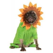 Details About Sunflower Costume Pet Halloween Fancy Dress