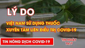 Thu hái và bào chế dược liệu. Ly Do Viá»‡t Nam Sá»­ Dá»¥ng Thuá»'c Xuyen Tam Lien Ä'iá»u Trá»‹ Covid 19 L Video Alobacsi Youtube