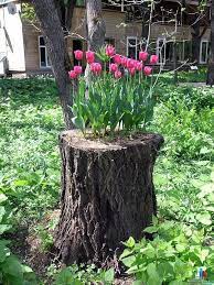 Gosta Desta Ideia Eu Adoro Veja Mais Em Http Www Comofazer Org Recycled Garden Plants Flower Planters