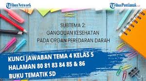 Sekarang udin sudah dapat menggunakan sepeda roda dua. Tema 4 Kelas 5 Halaman 80 81 83 84 85 86 Youtube