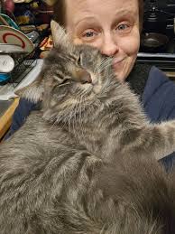 Lost dog in Yelm area near Vail Road