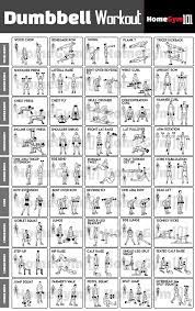 The following dumbbell workout routines can be performed using dumbbell exercises and will allow you to target muscles in a specific region of your body. 45 Dumbbell Exercises To Build Muscle At Home Homegym101