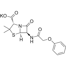 Image result for Penicillin