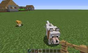 This minecraft software download code is issued by mojang ab, and will entitle the holder to a license of the minecraft game. Dog Mod Pro For Kindle Fire Mc Pocket Edition Amazon Com Appstore For Android