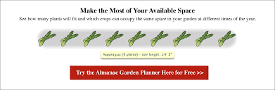 Jun 21, 2019 · i was recently asked how to rejuvenate an old, neglected asparagus bed. Growing Asparagus Planting Growing And Harvesting Asparagus The Old Farmer S Almanac