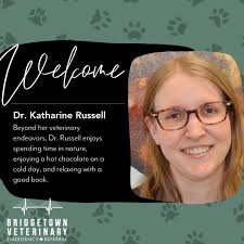 We are excited to welcome Dr. Katharine Russell, DVM, DACVIM (Neurology),  to the Bridgetown Veterinary Emergency + Referral team! Dr. Russell grew up  in Southern California and has pursued an impressive career