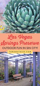 This one of the largest cactus gardens on the planet and the scenery is outstanding. Las Vegas Springs Preserve Natures Lovers Paradise Tanama Tales