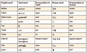 Find affordable, expert korean tutors now. What Are The Common Words Between Tamil Korean Language Quora