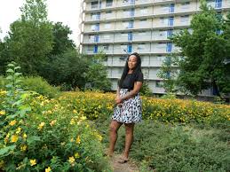 Image result for Oedina