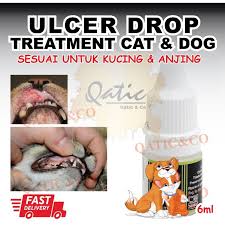 We did not find results for: Fast Result Ubat Ulcer Ulser Mulut Kucing Sakit Mulut Kucing Cat Dog Ulcer Drop Shopee Malaysia