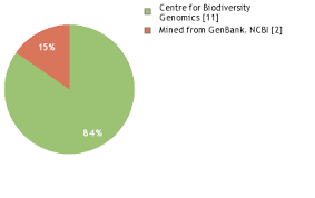 Image result for Aneulophus africanus