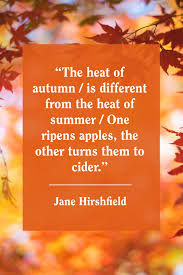 Looking for the best captions for your fall instagram photos? 55 Best Fall Quotes 2020 Inspirational Autumn Quotes For Instagram