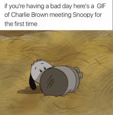 Maybe you would like to learn more about one of these? Have A Good Day Filled With Positive Vibes R Wholesomememes Wholesome Memes Know Your Meme