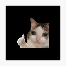 Use it in a creative project, or as a sticker you can share on tumblr, whatsapp similar mixed memes png clipart ready for download. Crying Cat Meme High Quality Poster By Justmannuy Redbubble