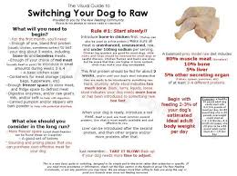 visual guide to switching your dog to raw raw feeding for