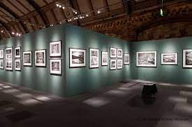 Seamless Gallery Walling At The Natural History Museum Sebastiao Salgado Walling Provided By Protea Art Gallery Interior Art Galleries Design Museum Lighting