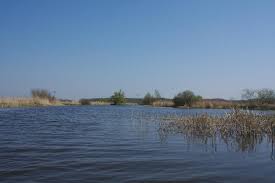 With over 207 train and coach companies in and across 44 countries including eurostar, see where you can go from temse with trainline today. Temse Warnow Bildergalerie Flussinfo Fur Kanufahrer