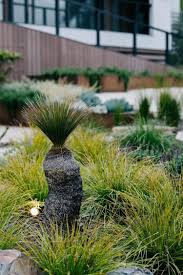 Grass Tree And Native Australian Plantings Have Been Selected For Their Drought Tolerance Australian Garden Australian Native Garden Drought Tolerant Garden