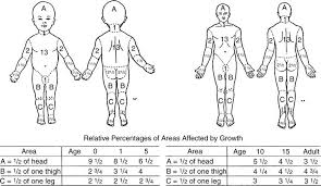 Splinting Orthoses And Prostheses In The Management Of