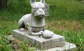 Check spelling or type a new query. Mort De Son Chien Que Faire Du Corps Enterrement Incineration Que Dit La Loi