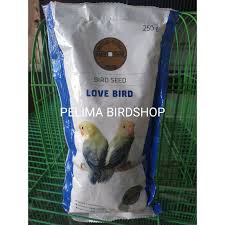 Pakan lovebird fighter goldcoin / jual gold coin lovebird murah harga terbaru 2021 : Harga Gold Coin Lovebird Terbaik Juli 2021 Shopee Indonesia