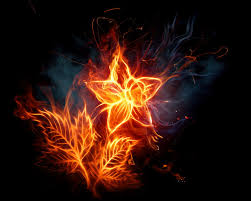 Pin On Artistic Flowers
