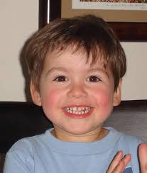 The Lion's Roar Senior Section 2024 by The Lion's Roar