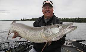 Definition from wiktionary, the free dictionary. Musky Fishing Tips How To Catch Musky Mepps Tactics