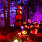 Jack’s Lighted Trail at Eckert’s Belleville Farm event image