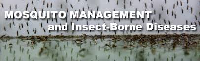Over the past 50 years, experiments have validated its insect repellent activity (7, 8). The Truth About Mosquitoes Pesticides And West Nile Virus Beyond Pesticides